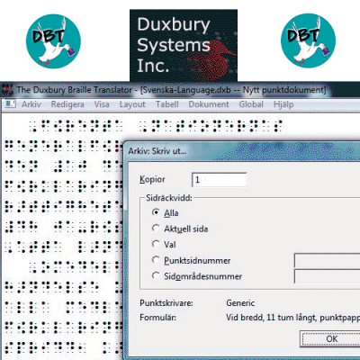 duxbury braille